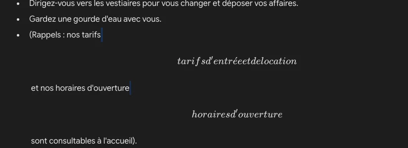 Dans Gemini Canvas, les crochets [tarifs d'entrée et de location] et [horaires d'ouverture] affichés comme une formule de maths, en italique, sans espaces entre les mots