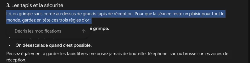 Un paragraphe sélectionné dans le guide Bloc & Craie, avec juste dessous le champ de Gemini Canvas « Décris les modifications »